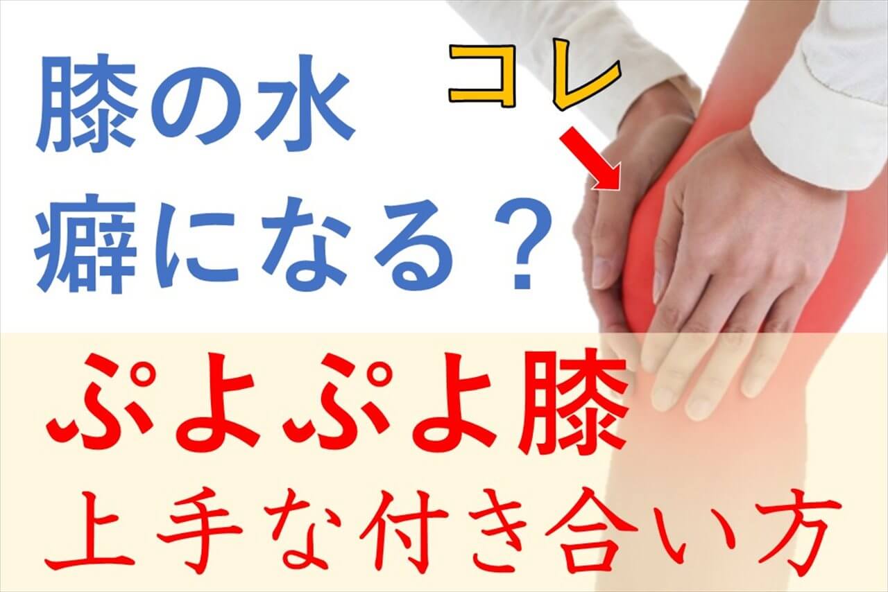 膝の水は癖になるのかを扱うブログのサムネイル ぷよぷよ膝の付き合い方