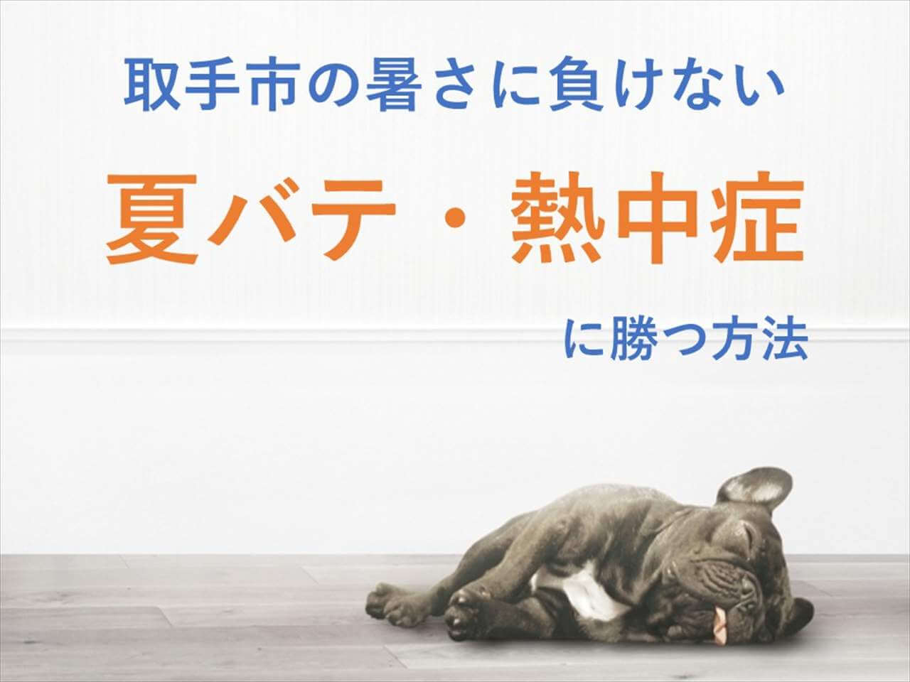 暑さでぐったりしているフレンチブルドッグ