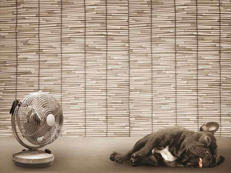 暑さに耐えているセピア調の犬と扇風機