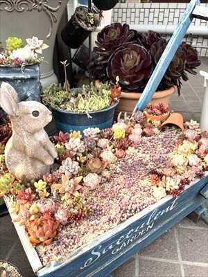 台車型のプランターの多肉植物の寄せ植えとうさぎの置物